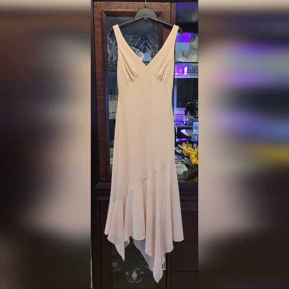 Evening Dress - Picture 1 of 2